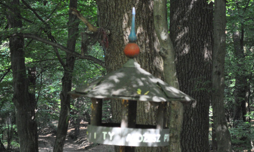 200-letni-drzewostan-karmik-dla-ptakow