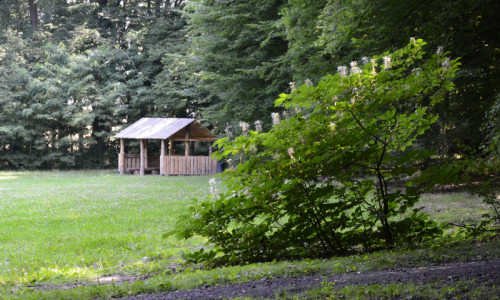 polana-wypoczynkowa-polana-wypoczynkowa