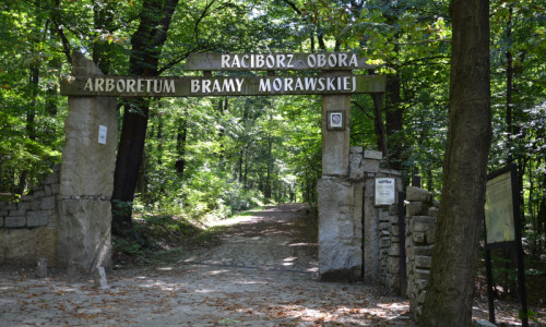 przy-bramie-dolnej-brama-dolna