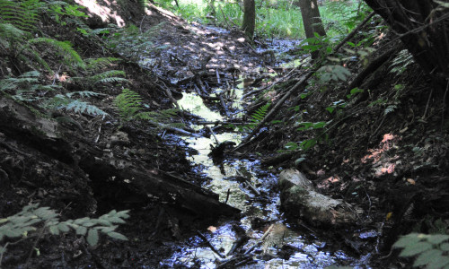 przy-czeremsze-okresowy-potok