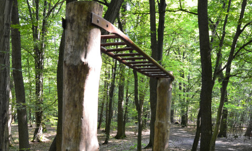 sciezka-zdrowia-drabinka