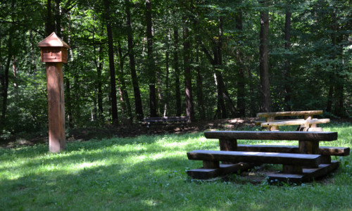 swiatowid-i-polana-kwak-polana-kwk