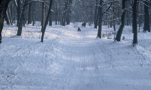 tor-saneczkowy-tor-saneczkowy-zmia