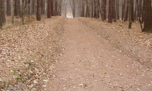 tor-saneczkowy-tor-saneczkowy