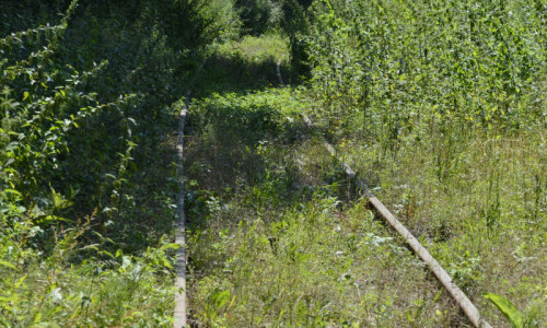 w-poblizu-budki-druznika-torowisko