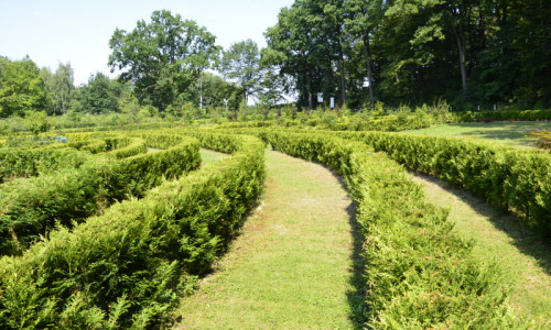 zaczarowany-ogrod-labirynt