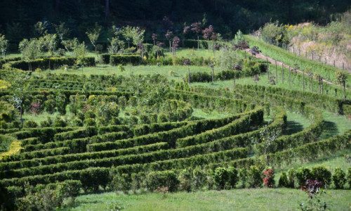 zaczarowany-ogrod-widok-z-gory-na-labirynt