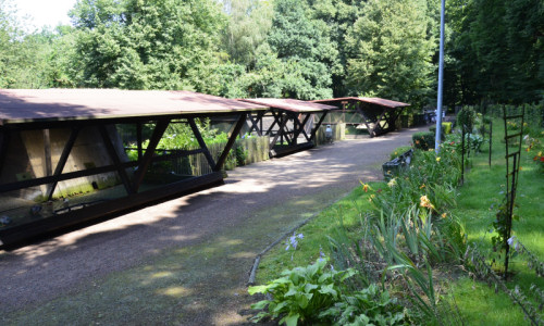 zoo-zwierzeta-widok-na-mini-zoo